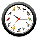 BirdClock